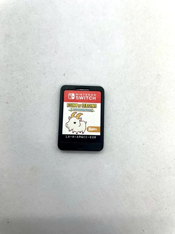 Story of Seasons A Wonderful Life Nintendo Switch (game only)