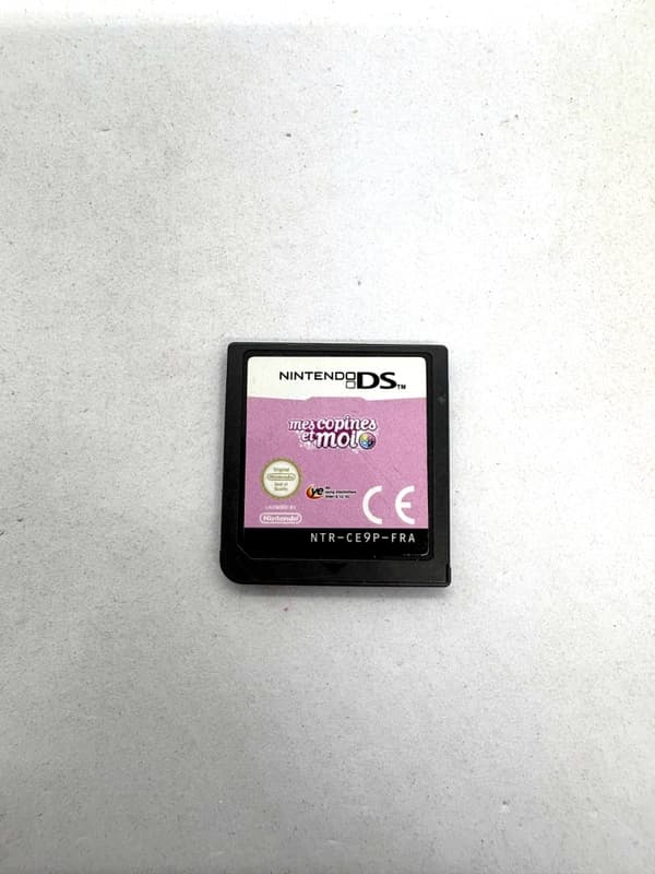 Mes Copines et Moi Nintendo DS (FR) (game only)