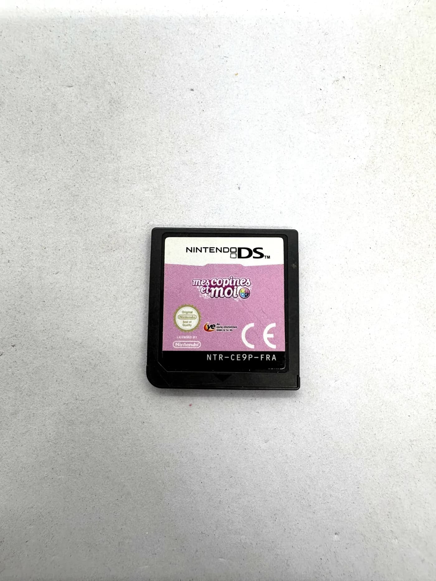 Mes Copines et Moi Nintendo DS (FR) (game only)